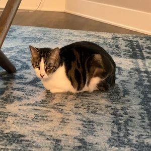 Meet your Posher, Erin